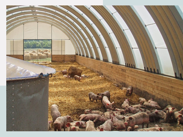 Строительство свинарников в Крымске